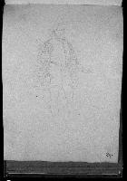 SW_D_4t060-05668_IMG-0000000001