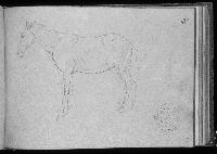 SW_D_4t060-05685_IMG-0000000001