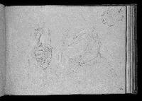 SW_D_4t060-05686_IMG-0000000001