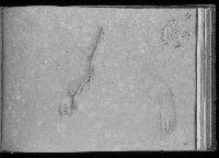 SW_D_4t060-05687_IMG-0000000001