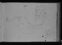 SW_D_4t060-05698_IMG-0000000001