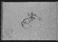 SW_D_4t060-05701_IMG-0000000001