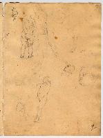 SW_D_4t060-05766_IMG-0000000001