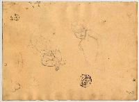 SW_D_4t060-05767_IMG-0000000001