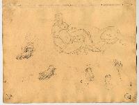 SW_D_4t060-05782_IMG-0000000001