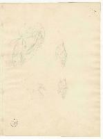SW_D_4t060-05834_IMG-0000000001