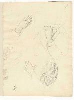 SW_D_4t060-05849_IMG-0000000001