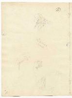 SW_D_4t060-05854_IMG-0000000001