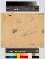 SW_D_4t060-05897_IMG-0000000001