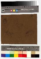 SW_D_4t060-05902_IMG-0000000001
