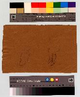 SW_D_4t060-05908_IMG-0000000001
