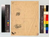 SW_D_4t060-05918_IMG-0000000001