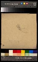 SW_D_4t060-05919_IMG-0000000001