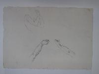 SW_D_4t060-05946_IMG-0000000001