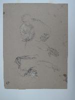 SW_D_4t060-05947_IMG-0000000001