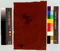 SW_D_4t060-05952_IMG-0000000001