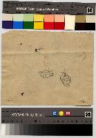 SW_D_4t060-05958_IMG-0000000001