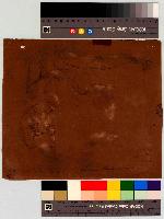 SW_D_4t060-05963_IMG-0000000001