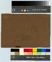 SW_D_4t060-05964_IMG-0000000001