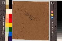 SW_D_4t060-05973_IMG-0000000001