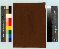 SW_D_4t060-05985_IMG-0000000001