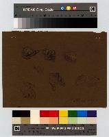 SW_D_4t060-05986_IMG-0000000001