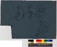 SW_D_4t060-05997_IMG-0000000001