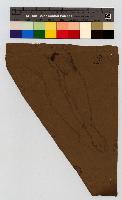 SW_D_4t060-06018_IMG-0000000001