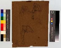 SW_D_4t060-06020_IMG-0000000001