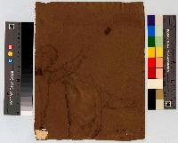 SW_D_4t060-06058_IMG-0000000001