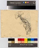 SW_D_4t060-06075_IMG-0000000001
