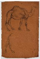 SW_D_4t060-06092_IMG-0000000001