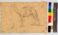 SW_D_4t060-06093_IMG-0000000001