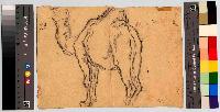 SW_D_4t060-06099_IMG-0000000001