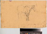 SW_D_4t060-06101_IMG-0000000001