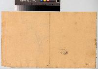 SW_D_4t060-06102_IMG-0000000001