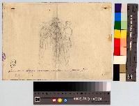 SW_D_4t060-06109_IMG-0000000001
