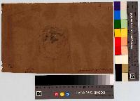 SW_D_4t060-06113_IMG-0000000001