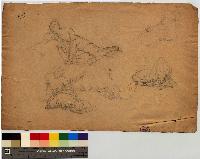 SW_D_4t060-06121_IMG-0000000001