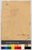 SW_D_4t060-06152_IMG-0000000001