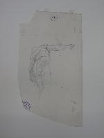 SW_D_4t060-06205_IMG-0000000001