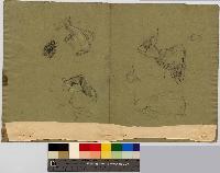 SW_D_4t060-06209_IMG-0000000001