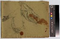 SW_D_4t060-06240_IMG-0000000001
