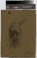 SW_D_4t060-06247_IMG-0000000001
