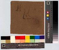 SW_D_4t060-06250_IMG-0000000001