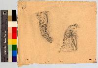 SW_D_4t060-06264_IMG-0000000001