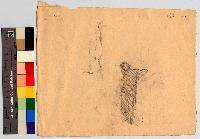 SW_D_4t060-06265_IMG-0000000001