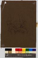 SW_D_4t060-06275_IMG-0000000001