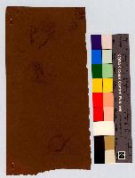 SW_D_4t060-06290_IMG-0000000001