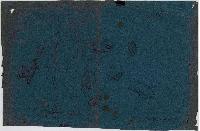 SW_D_4t060-06302_IMG-0000000001
